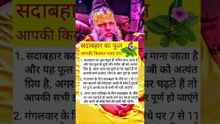 Premanand Maharaj ji #motivation #varal #training #youtube #vrindavan #short video#sadabahar ka
