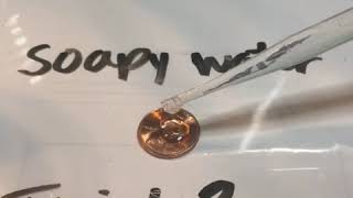 Soapy water trial3