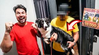 A SKY FOI ENCONTRADA POR UM ESTRANHO NA RUA, MAS …. !! * cachorra do Renato * 🐶 ❤️