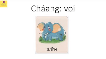 B4 - Bảng chữ cái tiếng Thái (Phần 2 - ง จ ฉ ช ซ ฌ ญ ) #Vuihoctiengthai #learnthai #Túshare