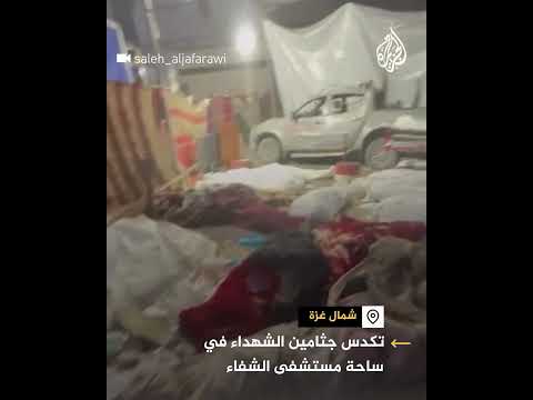 مشاهد توثق تكدس الجثث في ساحة مستشفى الشفاء في غزة