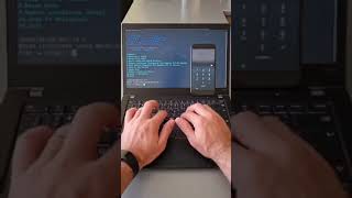Brute-force 6 digit PIN using custom wordlist #shorts
