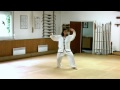 Taijiquan