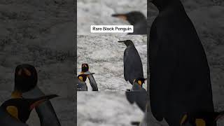 Famous Things Humans Were Never Meant To See...! 😨 | Part 4 | #shorts Wealth