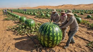 Exclusive Shock: They Tried to Grow Watermelons in the Desert – the Results Are Even More Amazing Profile