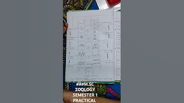 ###M.SC ZOOLOGY SEMESTER 1 PRACTICAL