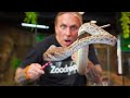 RATTLESNAKE AT MY ZOO!! I BROKE MY TOE!!  | BRIAN BARCZYK