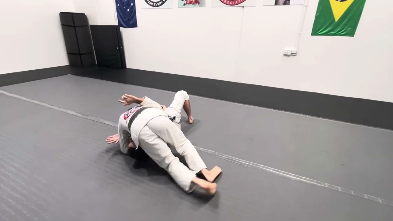 Guard Passing Concepts ( purple belt +)
