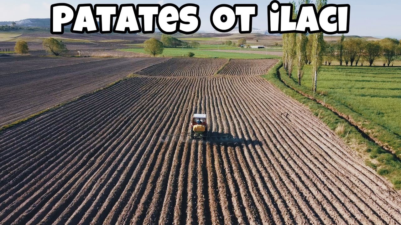 ÇIKIM ÖNCESİ PATATES OT İLACI ~ SOĞANLAR STRESE GİRDİ