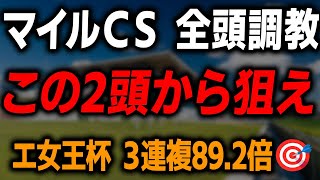 【マイルチャンピオンシップ 2025】追い切りから見た推奨馬を徹底解説!ジャンタルマンタル ソウルラッシュ アスコリピチェーノの調教は?