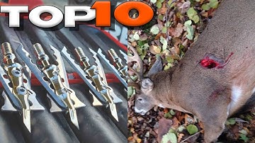 Top 10 Broadheads for Deer Hunting