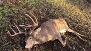 Whitetail 2016 300 Weatherby Mag