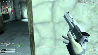COD4 Promod ACE