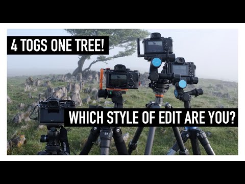 4 togs one tree! AMAZING location Brecon Beacons, sunrise photography.