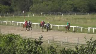 Jockey Club de Pelotas - 11ª Reunião 2022/2023 - 05/02/2023 - 4º Páreo screenshot 5