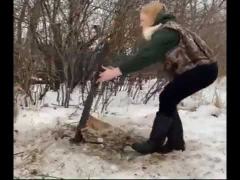 Рысь, капкан, освобождение