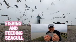 FEEDING Seagull and FISHING at SYLVAN Beach Park | La porte, Texas