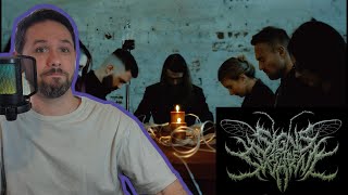 Download Lagu MUST SEE REACTION TO SIGNS OF THE SWARM \ MP3