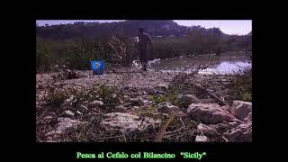 Pesca al cefalo col Bilancino