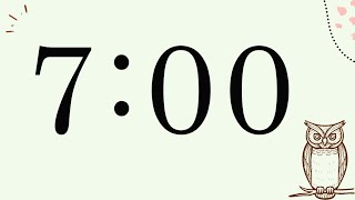 7 Minute Cute Owl Timer (Silent)