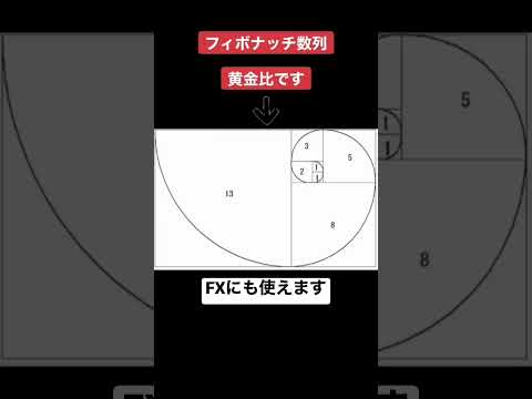 #fx初心者 #フィボナッチ #黄金比