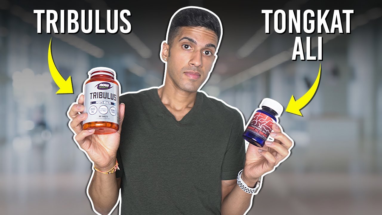 Tongkat Ali vs Tribulus, Don't Make A Mistake! YouTube
