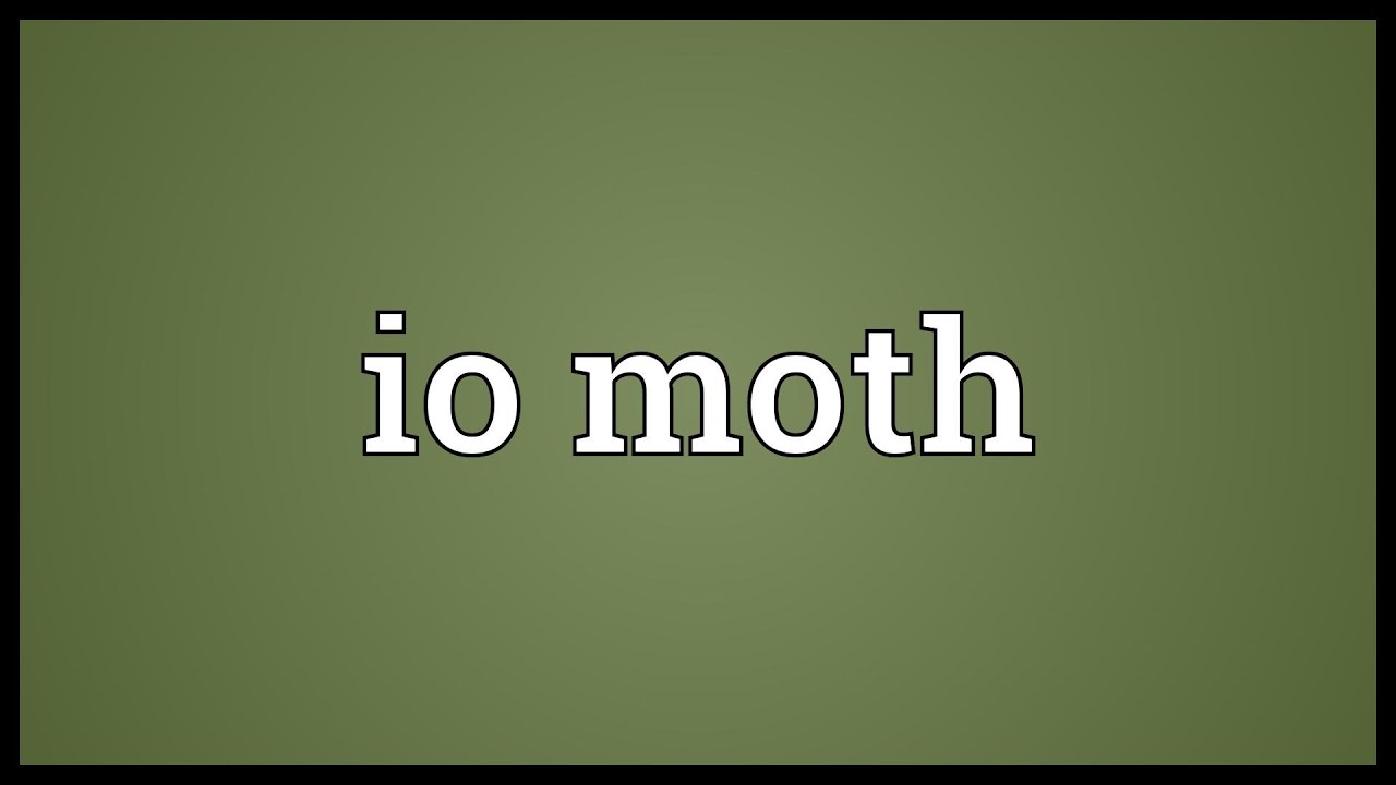 Io Moth Meaning Youtube