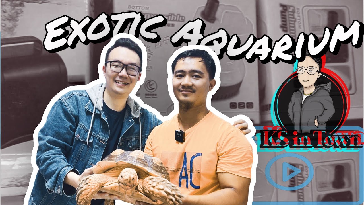 EP6: Shopping at Exotic Aquarium