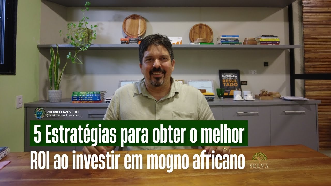 5 ESTRATÉGIAS PARA OBTER O MELHOR ROI AO INVESTIR EM MOGNO AFRICANO