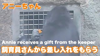 アニーちゃん飼育員さんから差し入れをもらうAnnie Receives A Gift From The Zookeeper2026.01.07