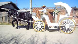 Carruajes Garcia Bailando Con Carreta