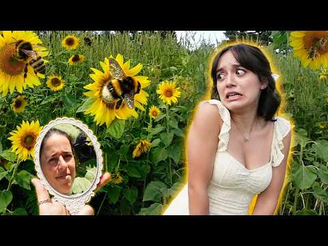 We took pictures in a sunflower maze 📸💃🌻 #teenageromancelele