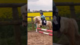 The Littlest Pony Jumping Ever