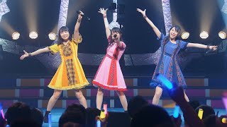Brave Sail