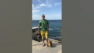 КТО ИЗ СОБАК ПЛАВАЕТ ЛУЧШЕ?