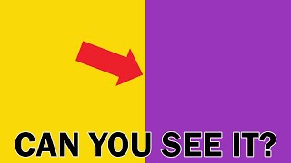 Only 12% Of People Can See This!