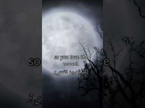 القمريي اينهايبين بتس تي اكس تي دعم بلاكبينك ستراي كيدز كيبوب ستان احبكم فولو لايك 