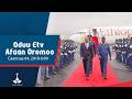 Oduu Afaan Oromoo Caamsaa 04 2018 6 00 Etv Ebc Etv Afaan Oromoo 