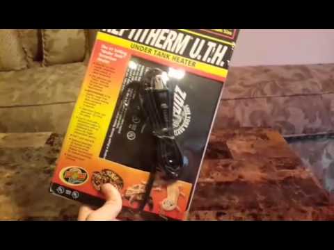 LLL Reptiles Unboxing! - YouTube