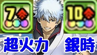 【パズドラ】銀さん火力出すぎィィ！！　裏闘技場