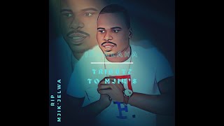 Tribute To Umjik'Jelwa ♧♧