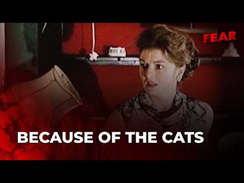 Because of the Cats - Officiële Trailer | FEAR