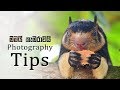 Photography tips - මමයි කැමරාවයි