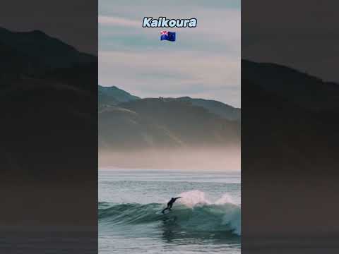 Video: Kaikoura, Naujosios Zelandijos banginių stebėjimo sostinė, vadovas