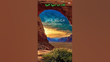 سورة التوبة تلاوة الشيخ سعود الشريم #قرآن #quran #islamic #islam #اكسبلور #ترند #لايك #راحة_نفسية