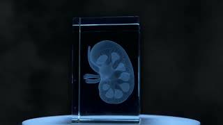 Graphicks Showreel 2022