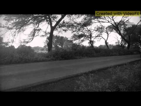 Petal Abhal Sar.Mitwa Song PK.kumawat