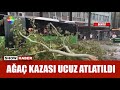 Ağaç şiddetli fırtına yüzünden yıkıldı!