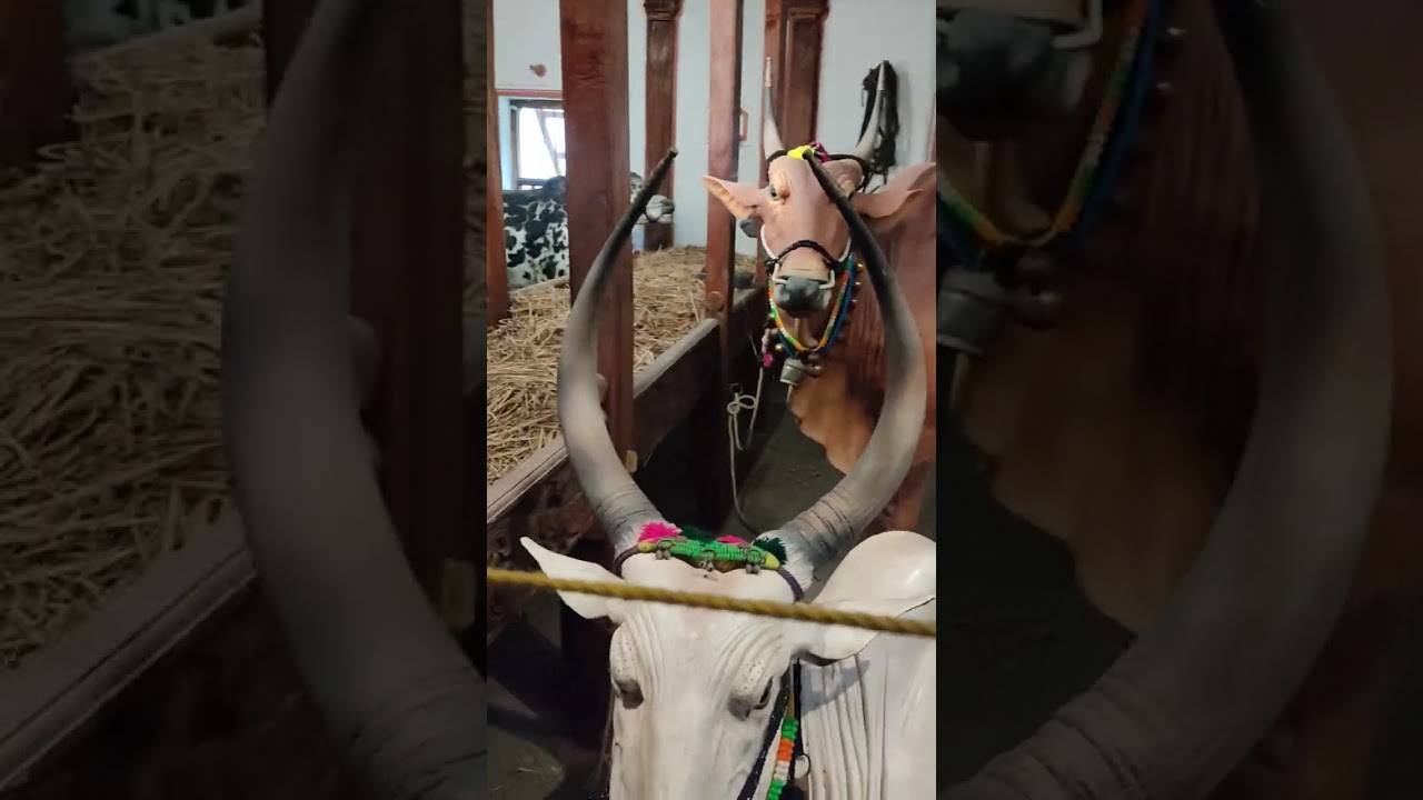 Ragoli garden part(2)