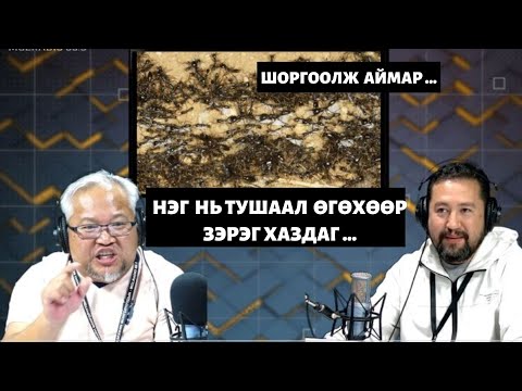 Видео: Шоргоолж Макпартлин хүүхэдтэй болсон уу?